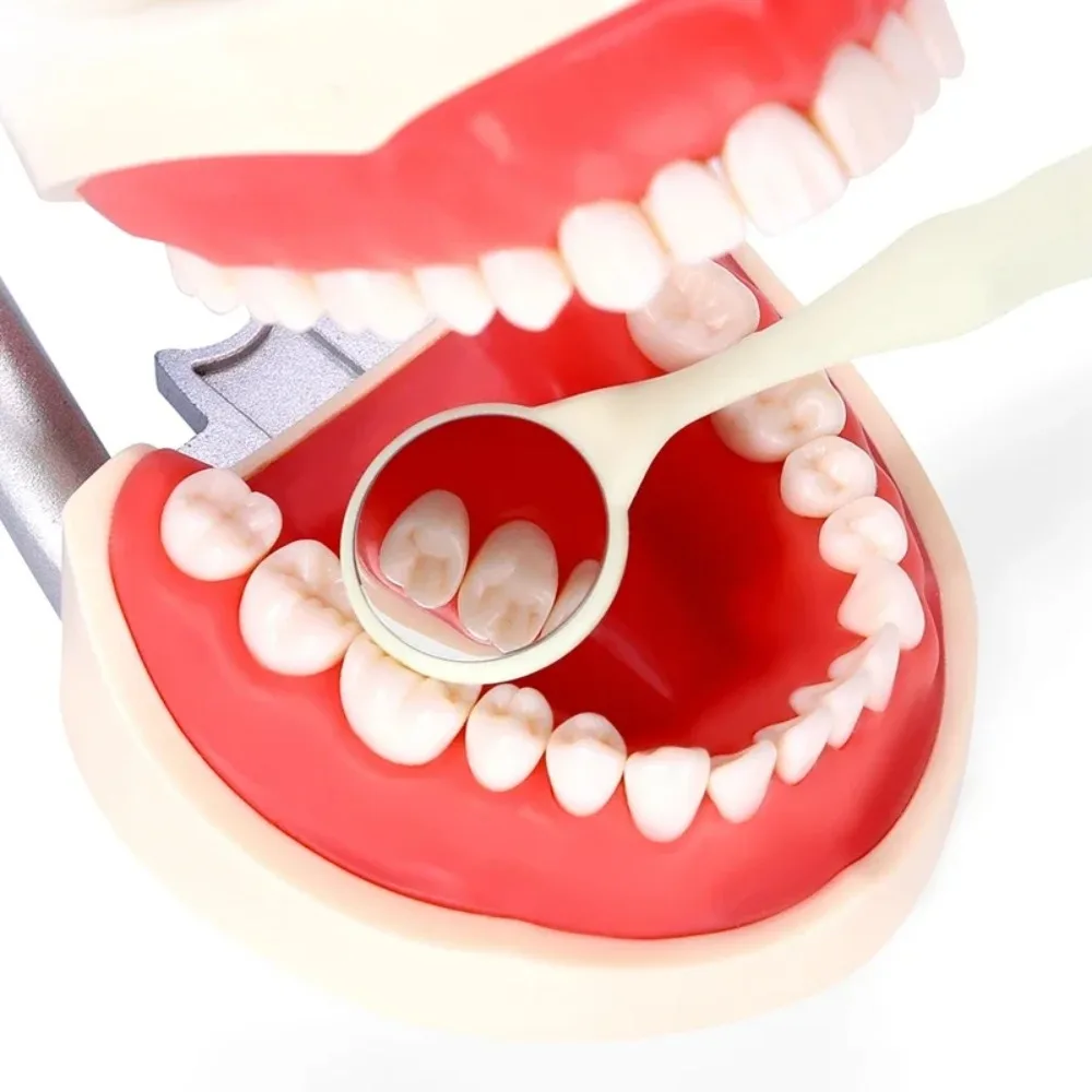 AG 10pcs/Box Oral Tooth Whitening Dental Double Sided Mouth Mirrors Surface Exam Reflectors With Handle - Image 6