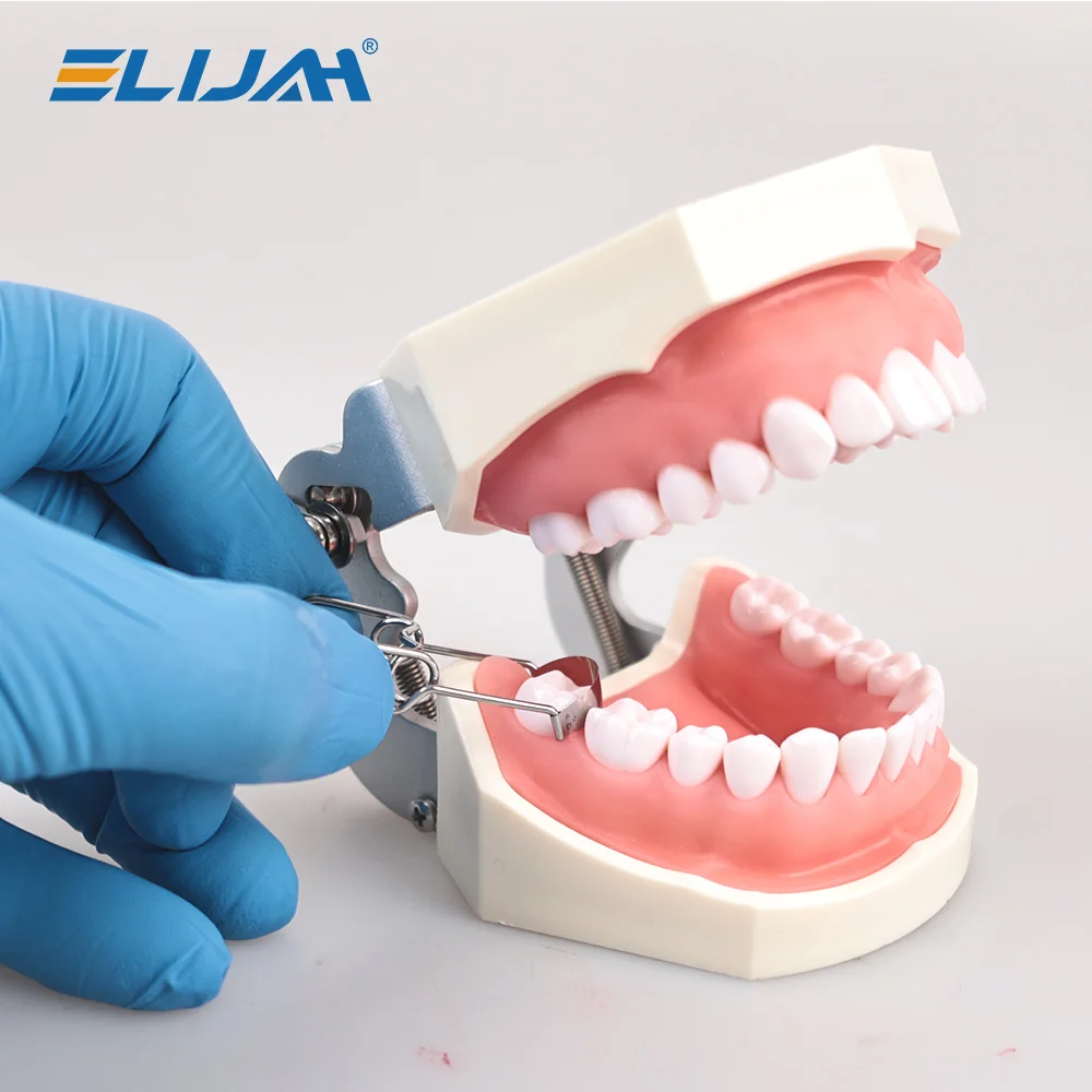 Dental Sectional Contoured Metal Matrices Matrix with Springclip No.1.330 Band Resin Clamping/Seperating Ring Dentist Tools - Image 5